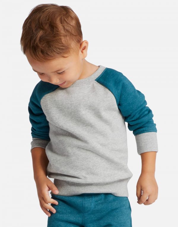 Toddler Boys' Sweatshirts - Heather GrayBlue