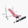 Lifeline 309 Multi Bench