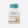 Himalaya Wellness Pure Herbs Ashvagandha – 60 Tablet