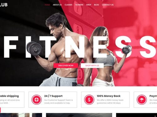 Why you should buy a Ciyashop WordPress themes for Fitness and Gym?